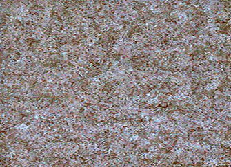 裝修材料清單 裝修材料大全 裝修材料價(jià)格 第19頁 齊裝網(wǎng)資訊