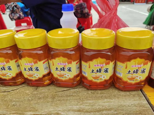 慶豐收感黨恩 蘄春縣農(nóng)副產(chǎn)品展銷(xiāo)會(huì)隆重開(kāi)幕，優(yōu)質(zhì)土特產(chǎn)精彩亮相